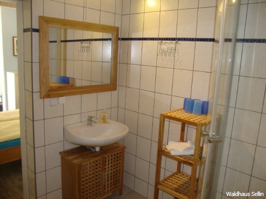 Ferienwohnung Glowe im Waldhaus Sellin – Ansicht 8