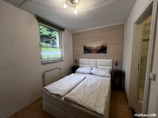 Ferienwohnung Garz im Waldhaus Sellin – Ansicht 3