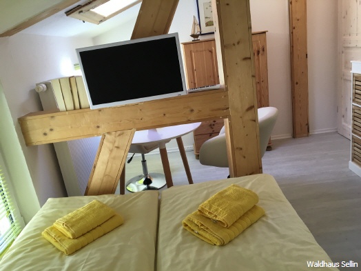 Ferienwohnung Baabe im Waldhaus Sellin – Ansicht 5